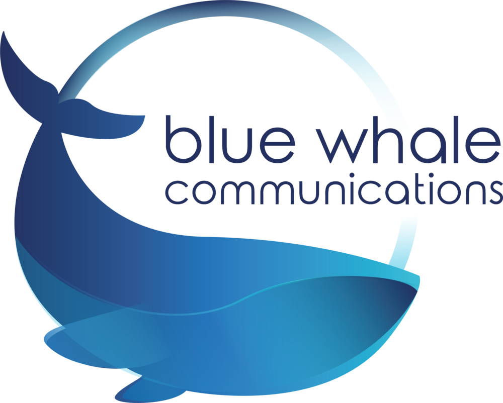 Blue Whale Png Clipart (1000x802), Png Download