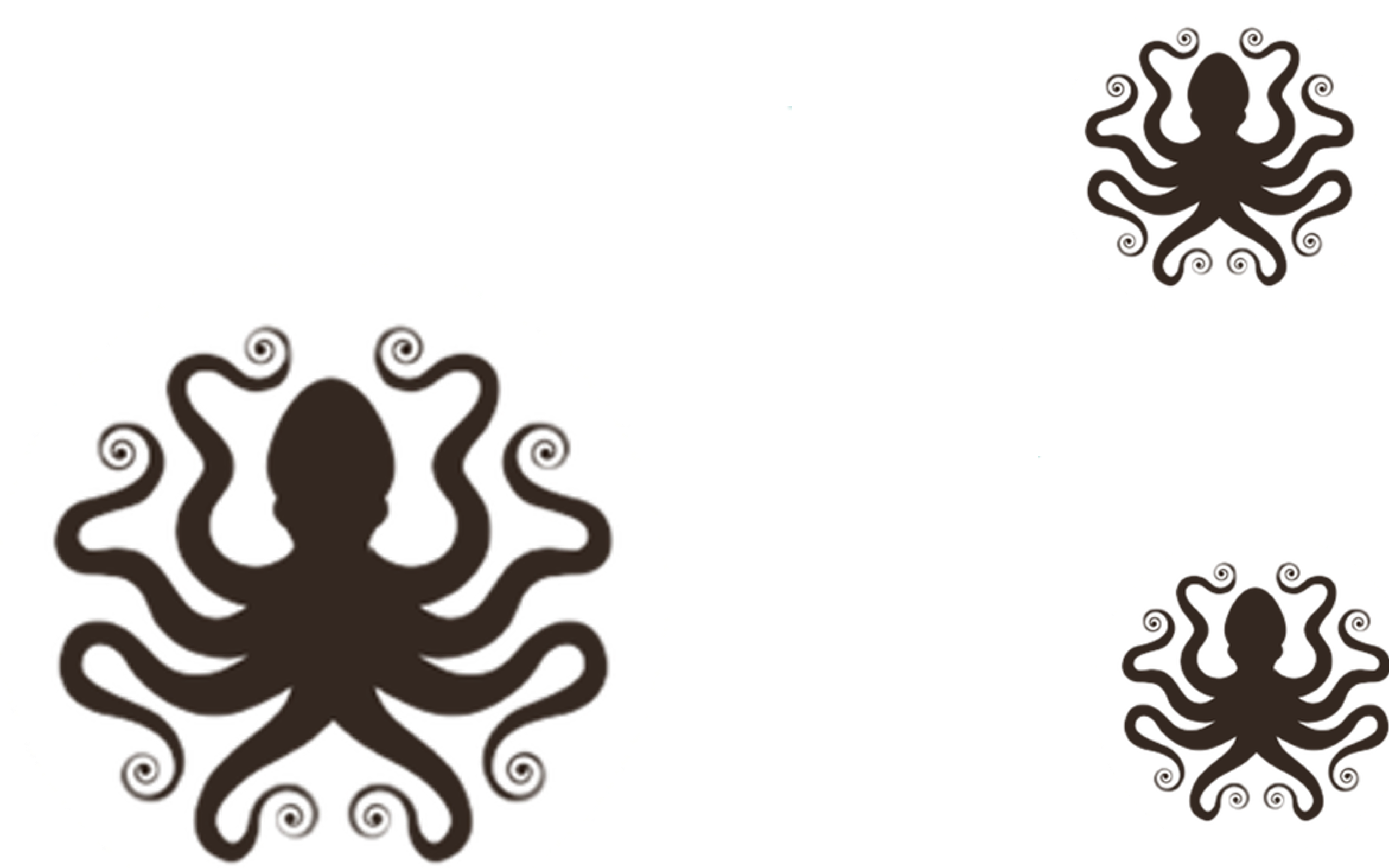 Background Octopus - Illustration Clipart (2560x1600), Png Download