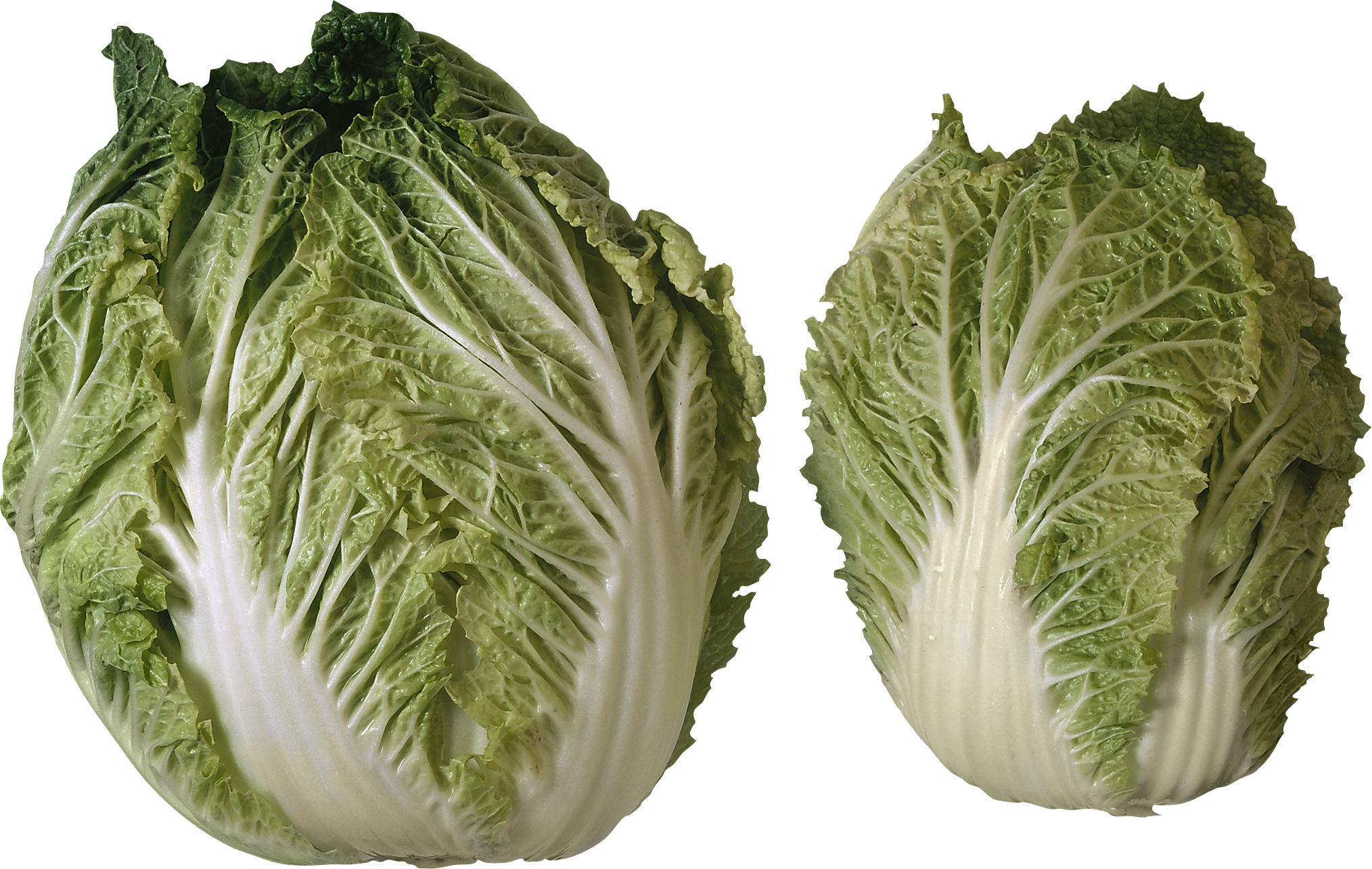 2 Heads Of Lettuce Clipart (2028x1284), Png Download