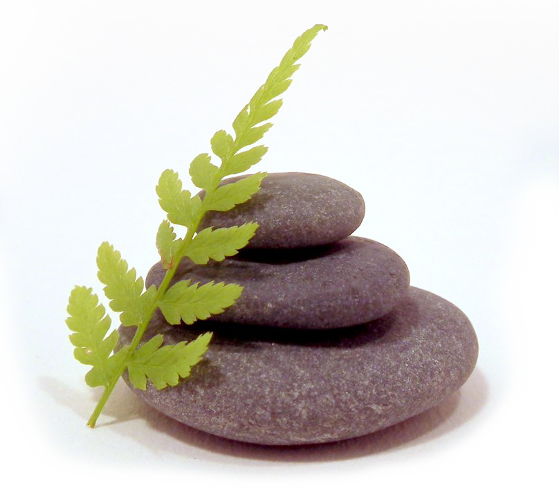 Zen Garden - Zen Garden Png Clipart (808x718), Png Download