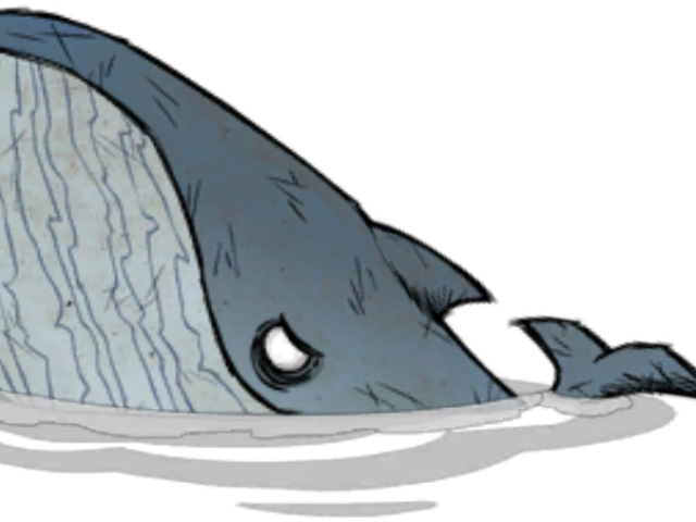 Cartoon Whale Png - Killer Whale Clipart (640x480), Png Download