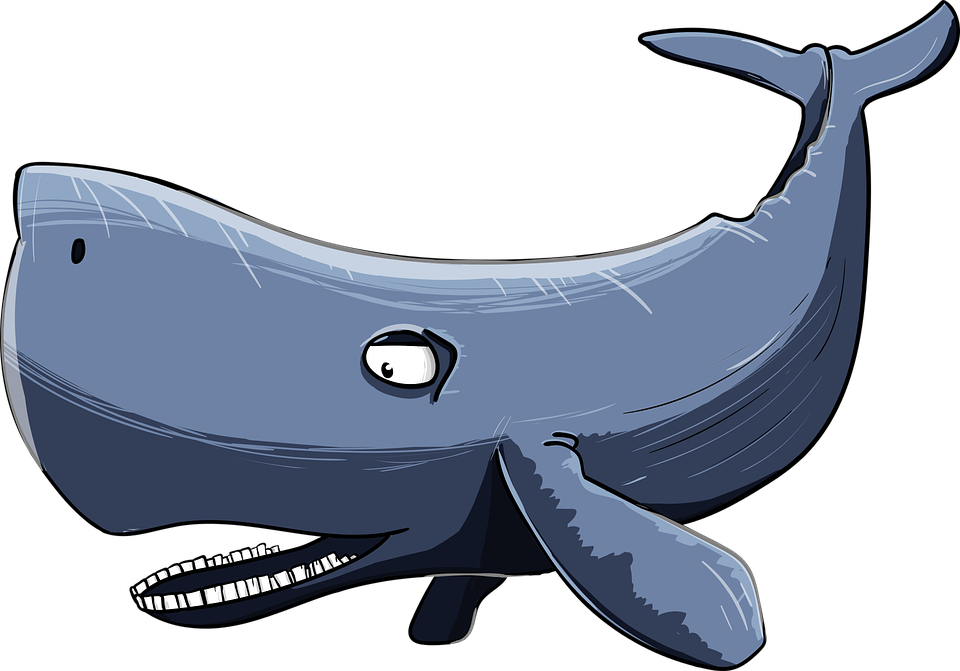 Whale Cartoon Clipart (960x671), Png Download