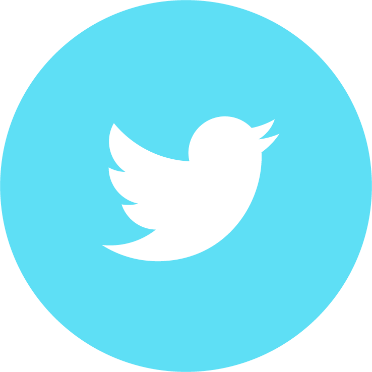 Facebook Twitter Snapchat Instagram - Twitter Logo Icon Png Clipart (738x738), Png Download