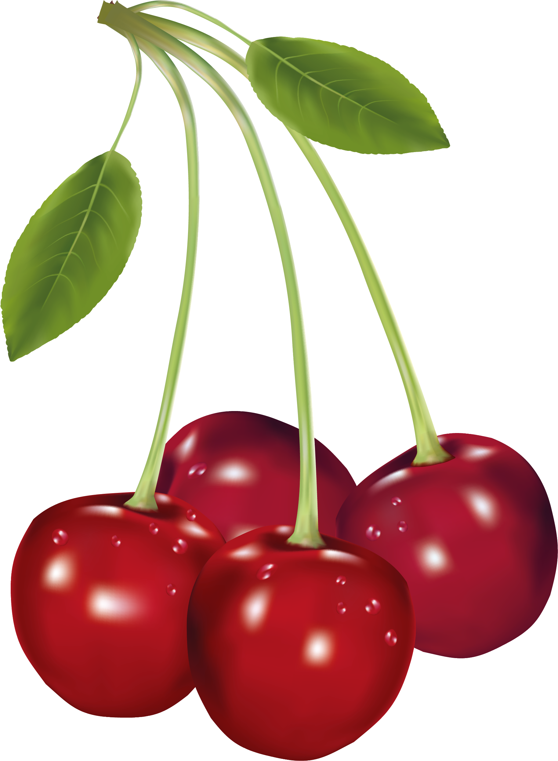 Cherry Fruit Clipart - Png Download (1916x2592), Png Download