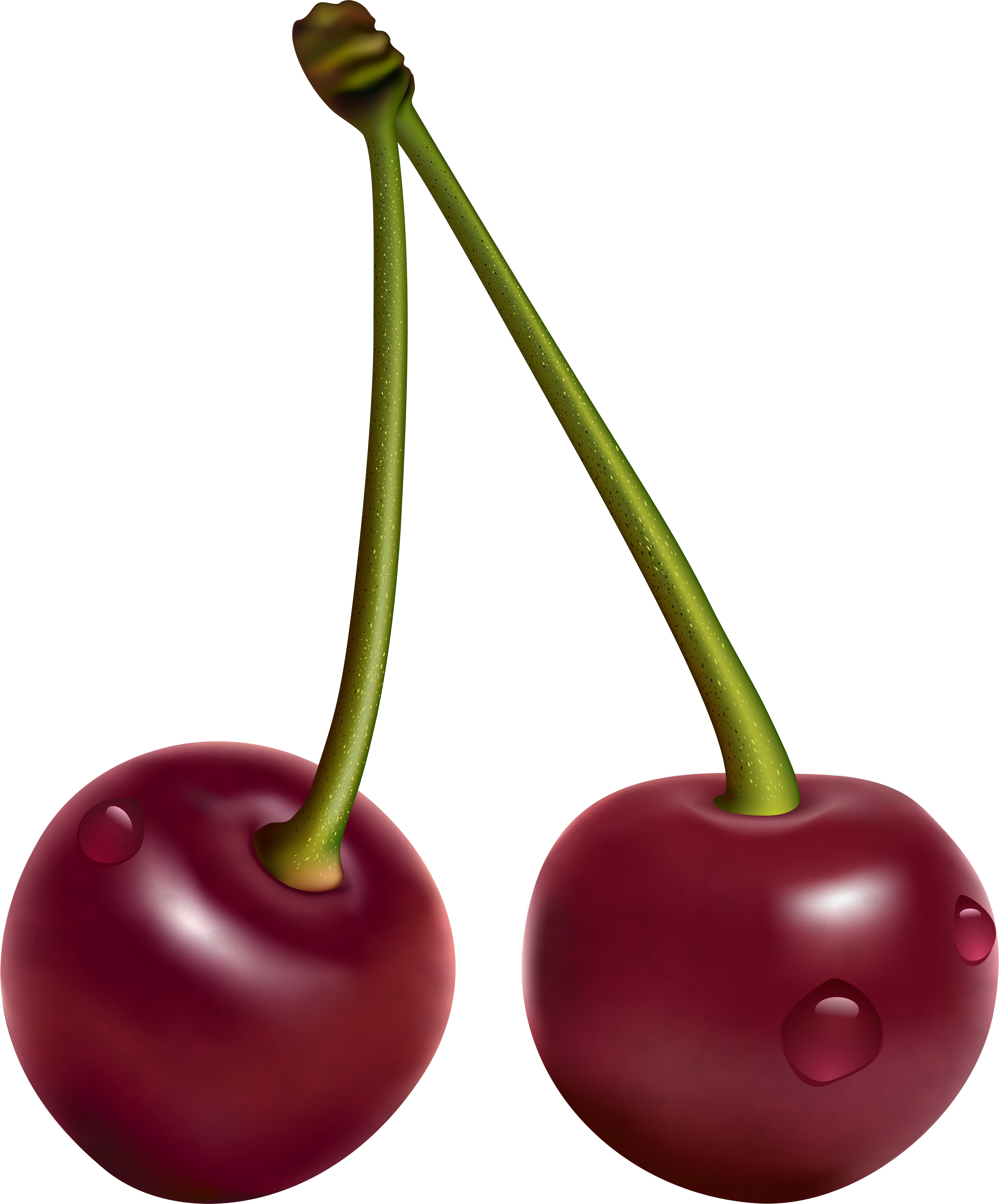 Вишня рисунок png
