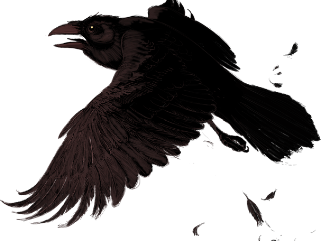 Raven Png Clipart (640x480), Png Download