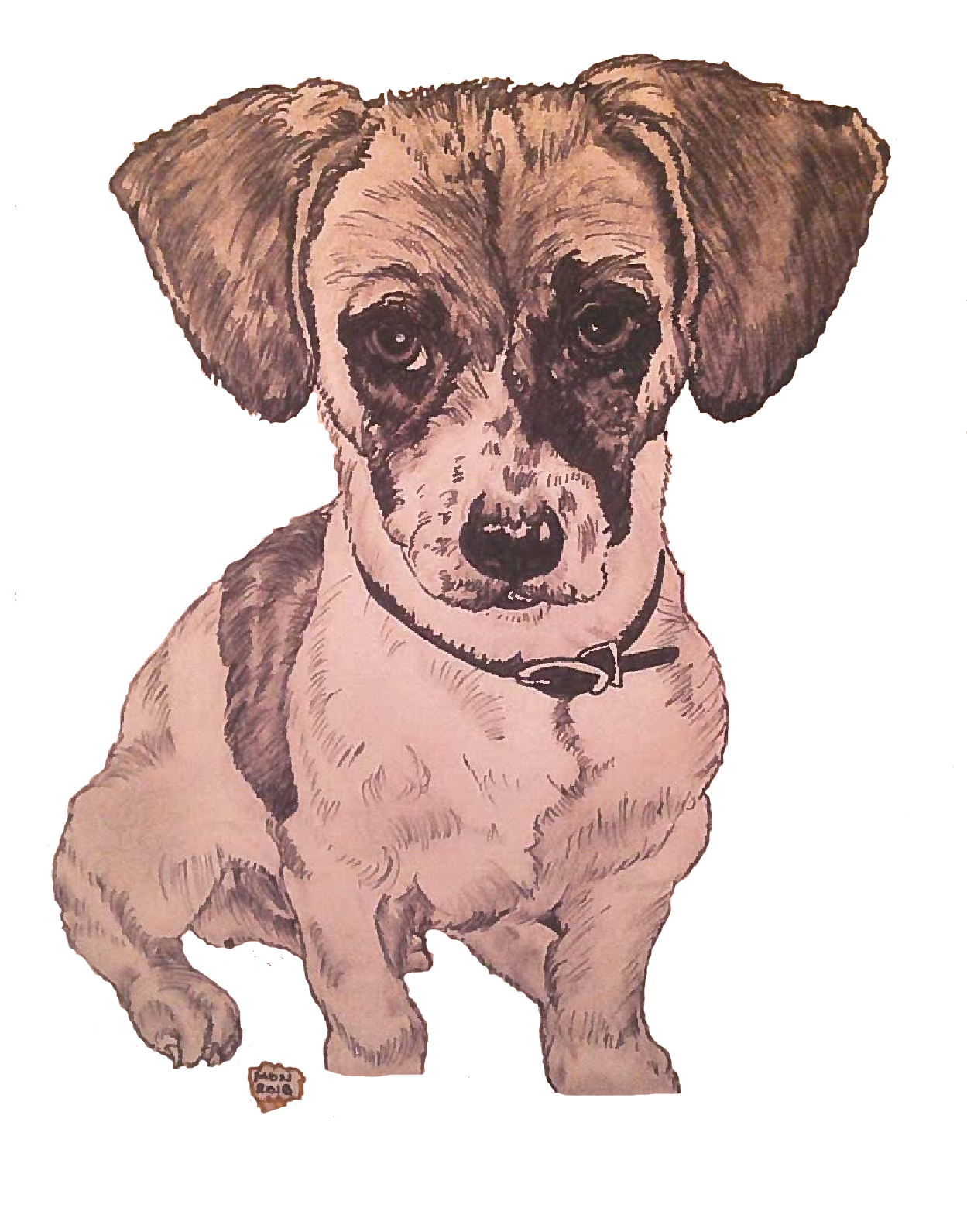 Raider The Puppy - Dachshund Clipart (1275x1650), Png Download