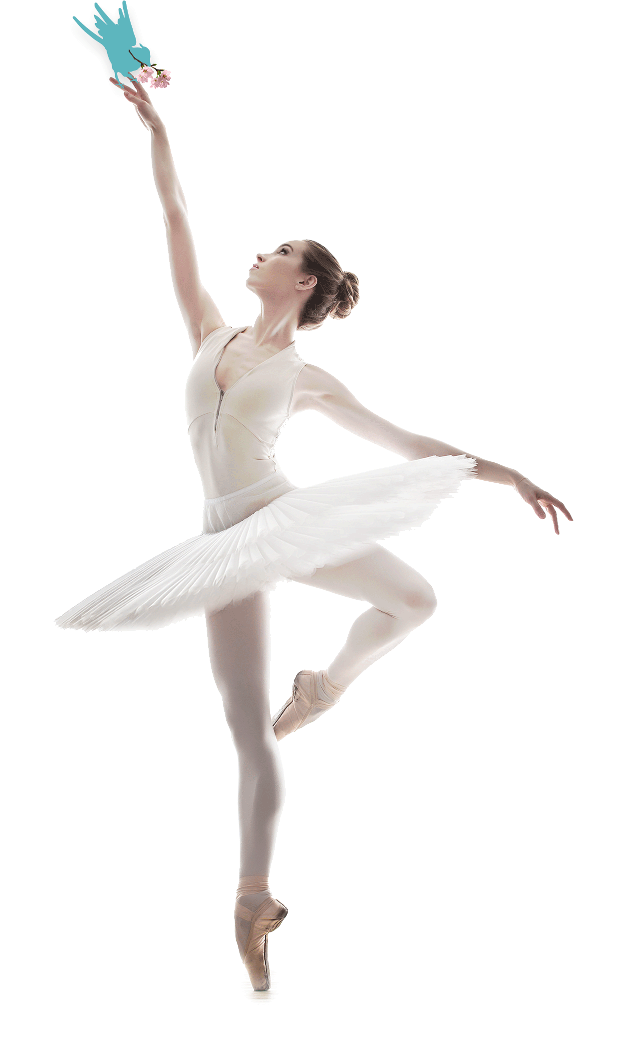 Ballet Dancer Png Picture - Pointe Ballet Dancer Transparent Clipart (1237x2093), Png Download