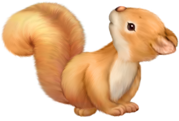 Cute Squirrel Png Clipart (800x480), Png Download