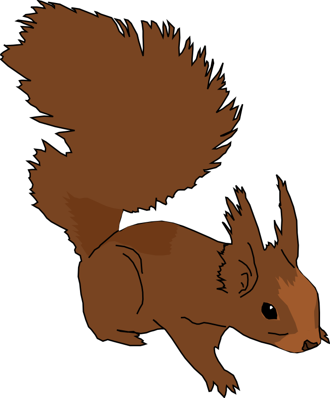 Squirrel Clipart Animated - Squirrel Clip Art - Png Download (664x800), Png Download