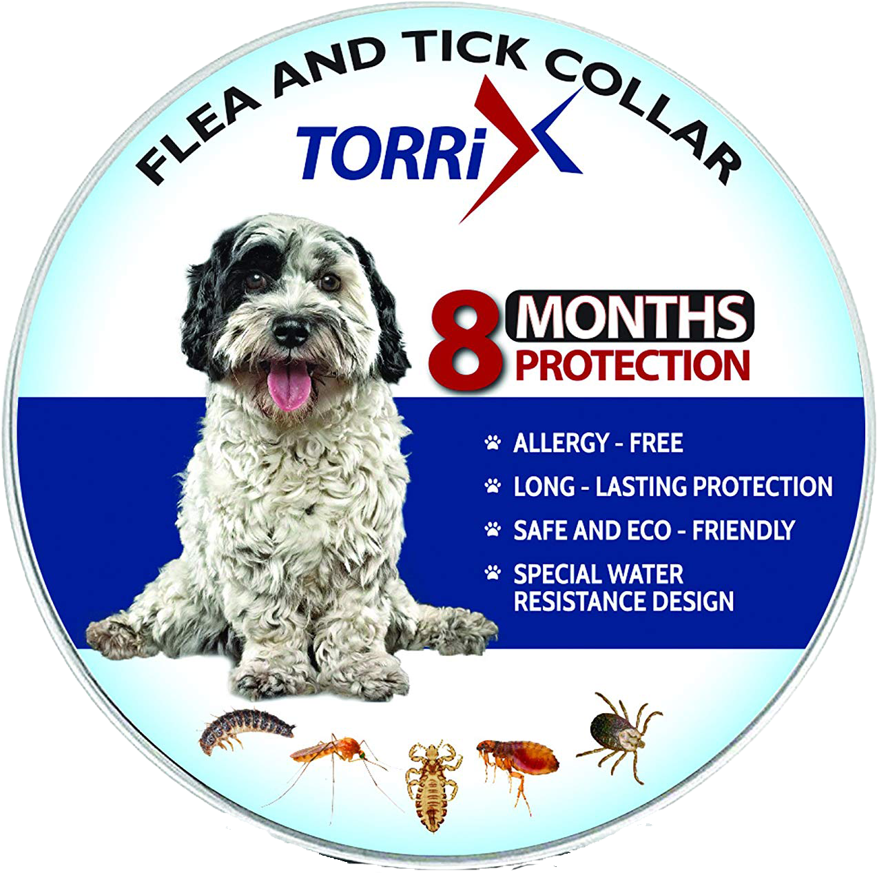 Dog Catches Something Clipart (1500x1500), Png Download