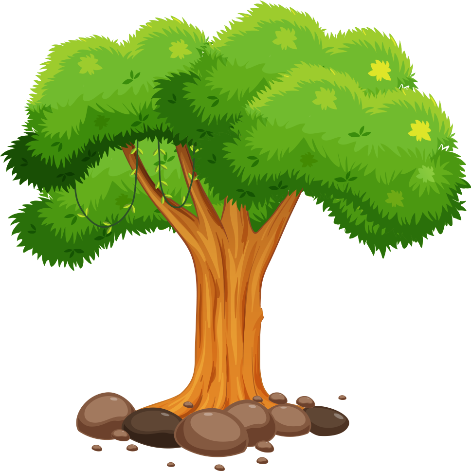 Tree - Cartoon Pictures Of A Tree Clipart (1024x1024), Png Download