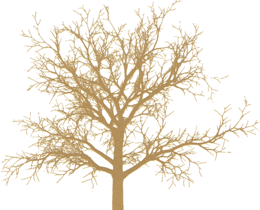 Grass Clipart (900x727), Png Download