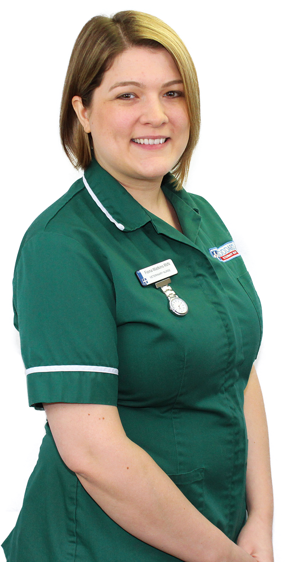 Girl Clipart (1800x1200), Png Download