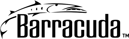 Barracuda Vector Clipart (800x600), Png Download