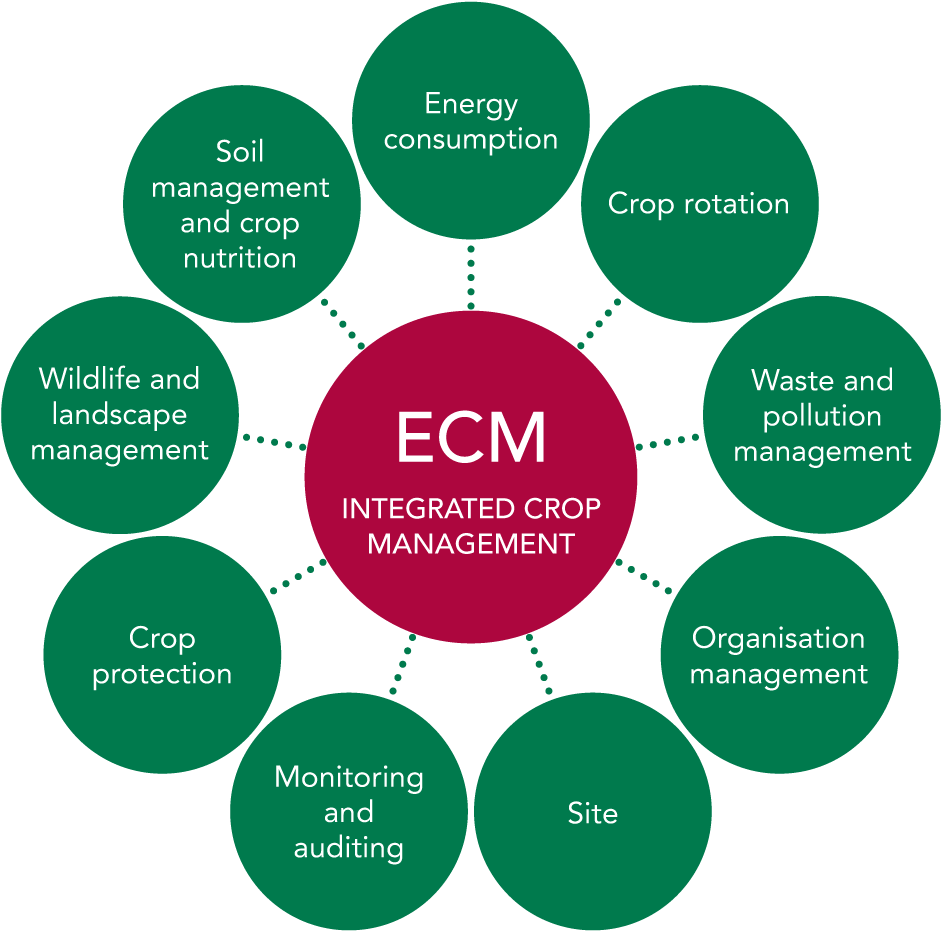 The Role Of Ecm's Agronomists - 10 Principles Of Landscape Approach Clipart (1000x1000), Png Download