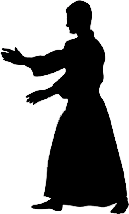 Aikido Png - Silhouette Aikido Clipart (800x800), Png Download