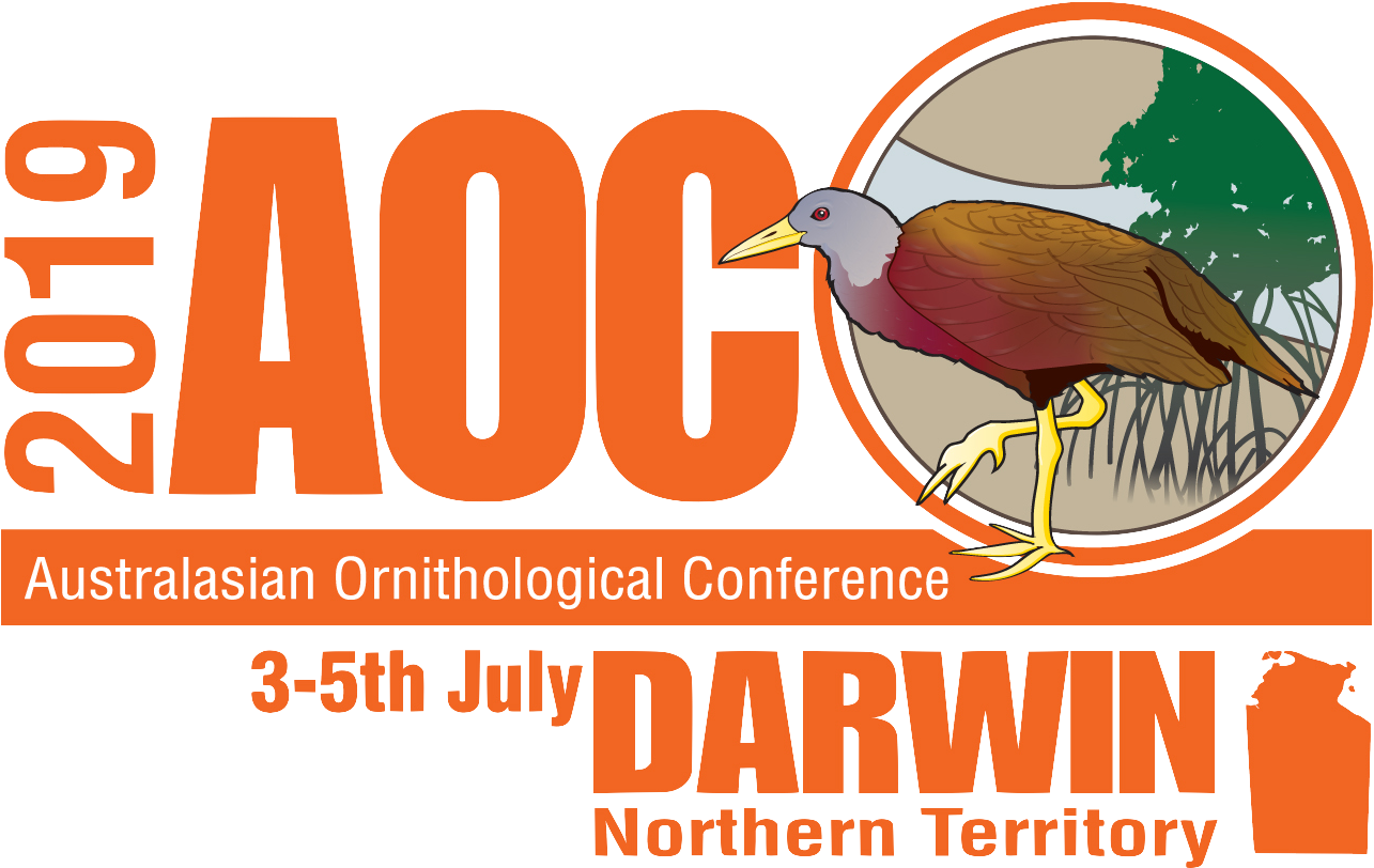 Flyer Clipart (1345x871), Png Download