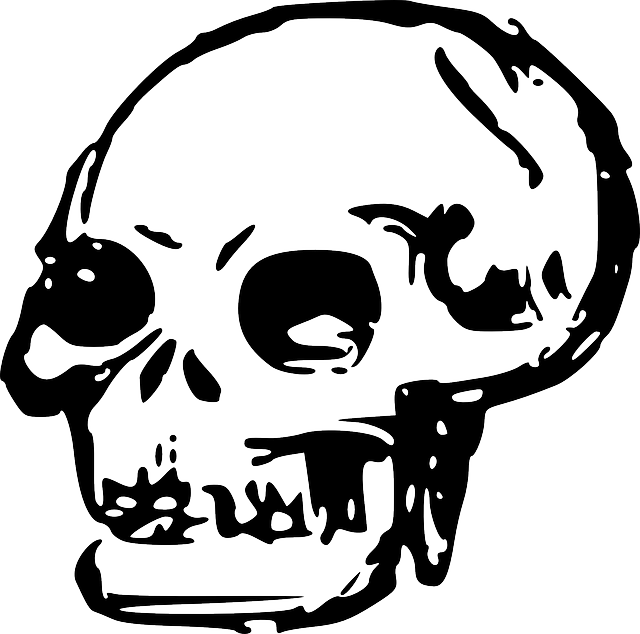 Head, Dead, Skull, Human, Bones, Skulls Clipart (640x634), Png Download