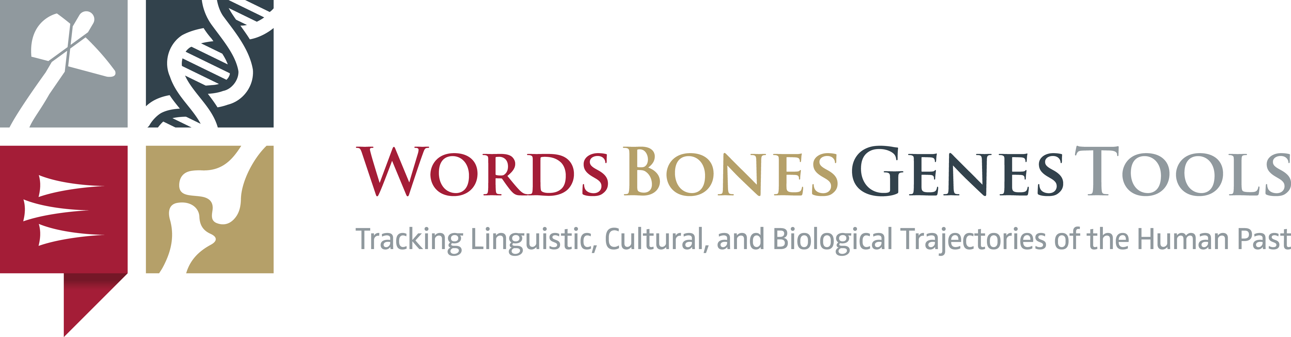 Words, Bones, Genes, Tools - Words Bones Genes Tools Clipart (4488x1173), Png Download