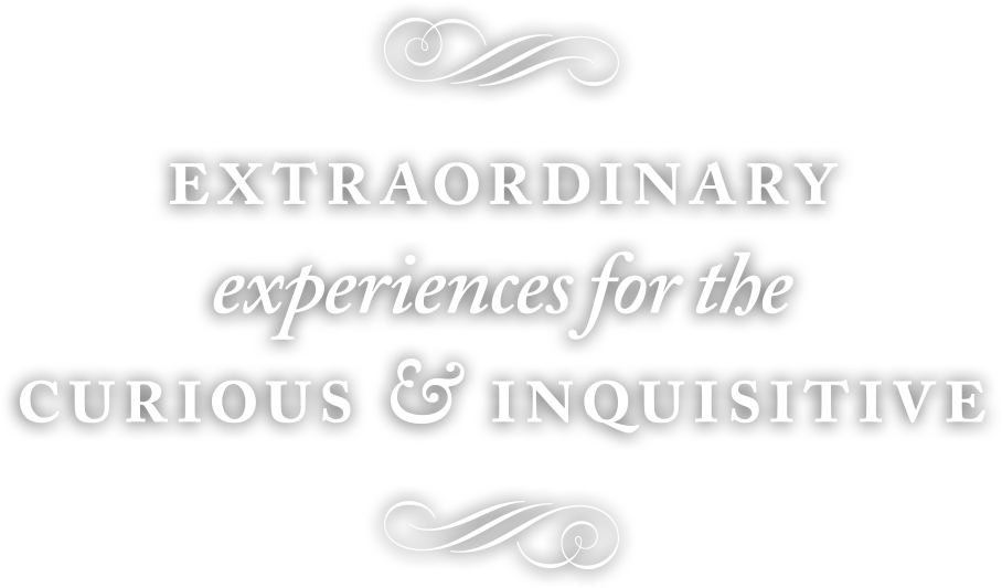 Discover Our Experiences - Calligraphy Clipart (944x537), Png Download