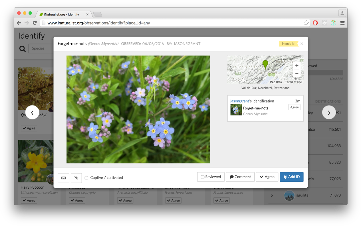 So Check It Out Even If You're Not A Super Hardcore - Graphics Software Clipart (1280x802), Png Download