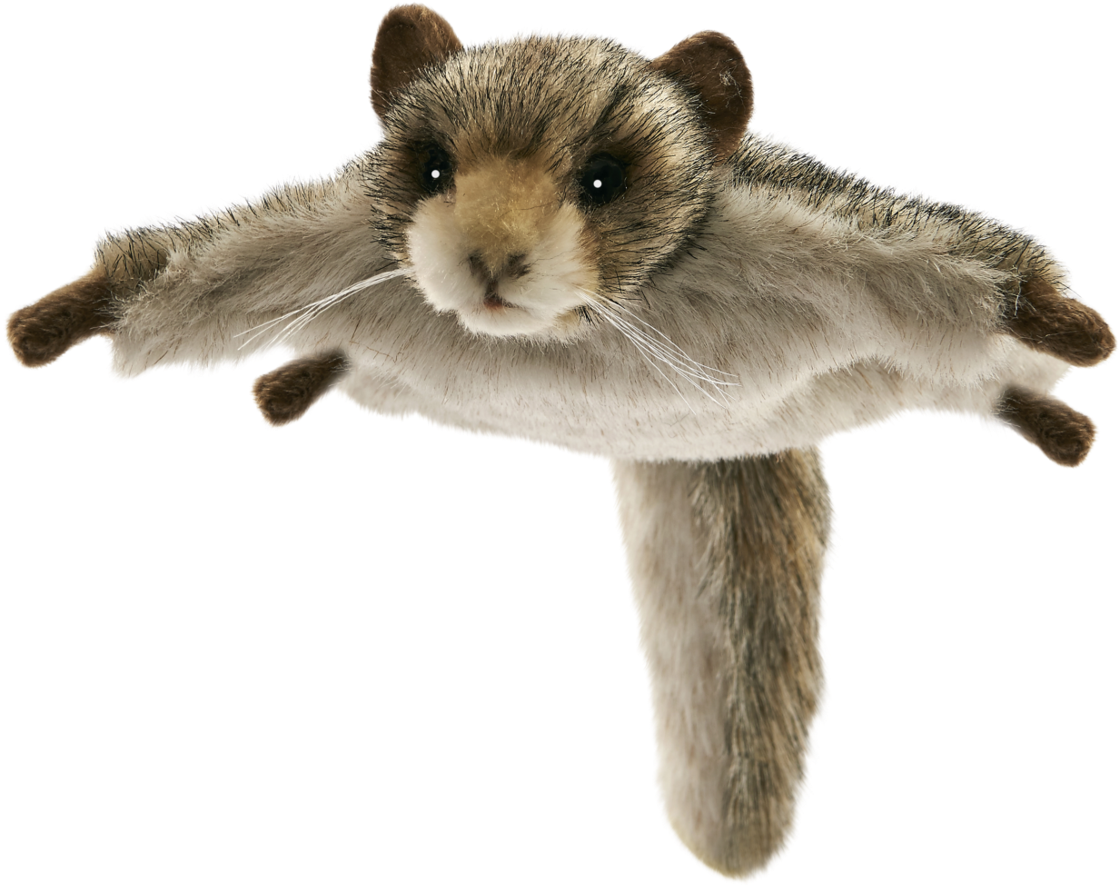 Stuffed Animals Cuddly Toys, Bear, Siberian Flying - Peluche Ecureuil Volant Clipart (2048x1453), Png Download