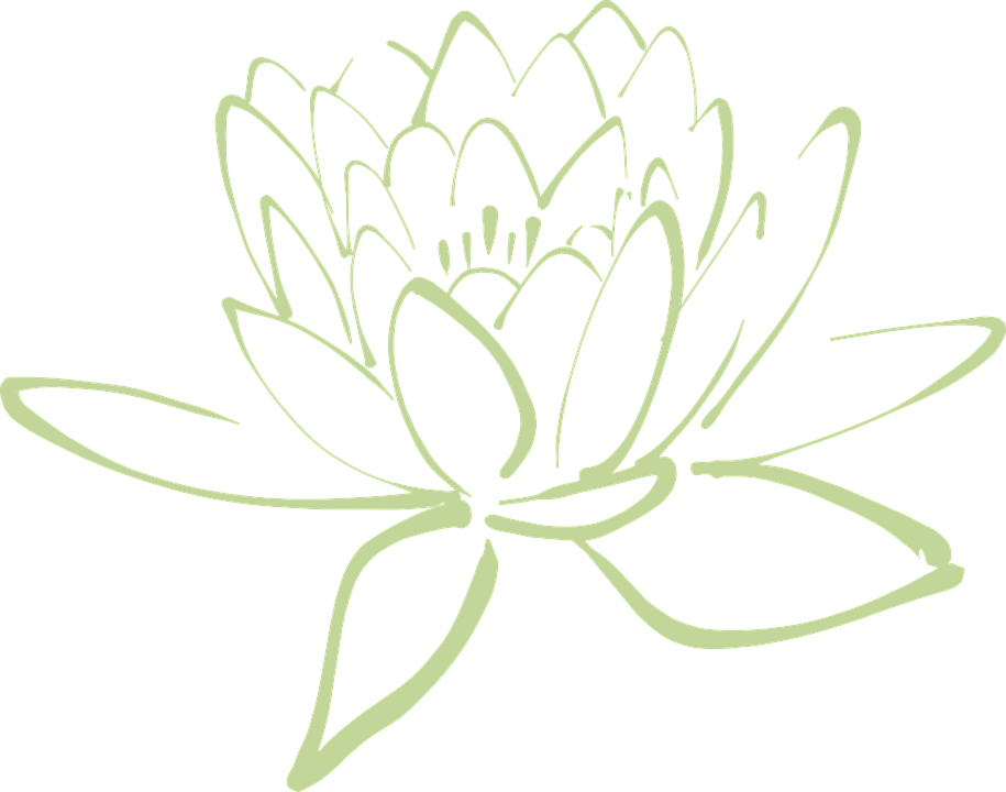 Flor De Loto, Lotus, Flor, Nenúfar, Nenúfar Blanco - Bunga Vektor P Ink Clipart (915x720), Png Download