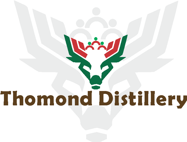 Logo Design By Flying Squirrel - Israeli Special Forces Units Clipart (1200x1000), Png Download