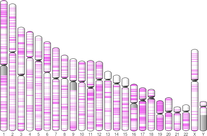 Plot Of Integration Sites On Chromosomes Clipart (706x464), Png Download