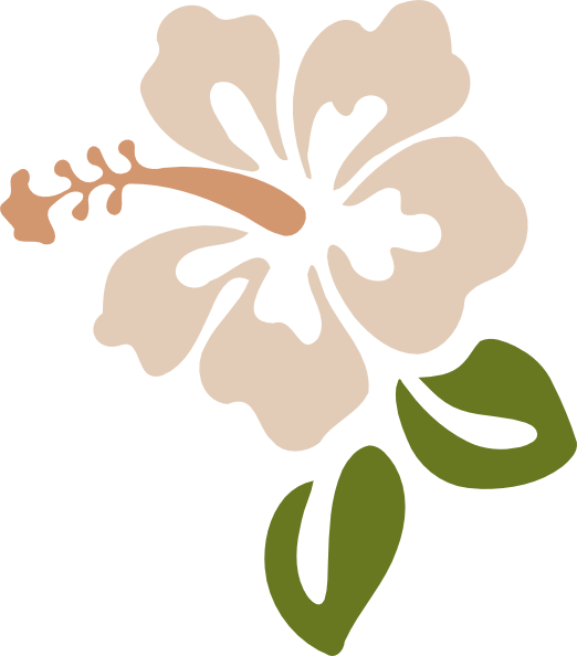 Hibiscus Clip Art - Png Download (522x594), Png Download