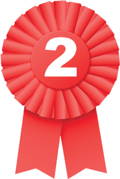 2nd Quarter Success - Second Place Ribbon Png Clipart (500x725), Png Download