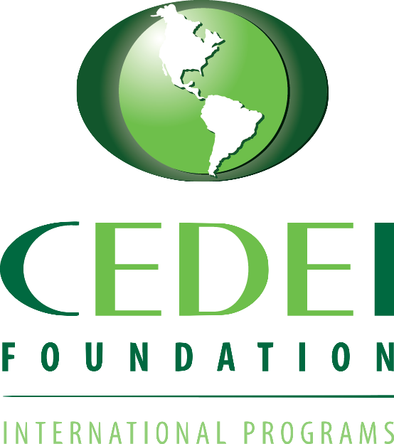 Graphic Design Clipart (554x624), Png Download