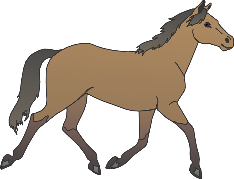 Caballos Animados Png - Cart Before The Horse Gif Clipart (800x612), Png Download
