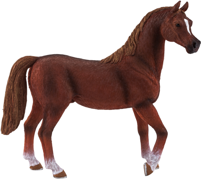 File Top, White Horses, Category - Figura De Color Marron Clipart (759x759), Png Download