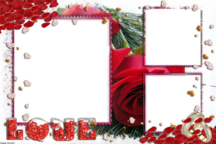 Molduras Romanticas Em Png - Red Roses Clipart (700x466), Png Download