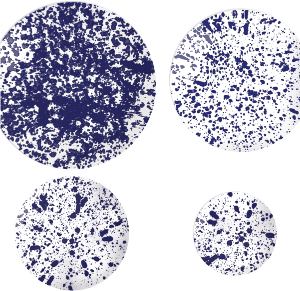 Magma Indigo Plate - Non Sans Raison Porcelaine Clipart (600x600), Png Download