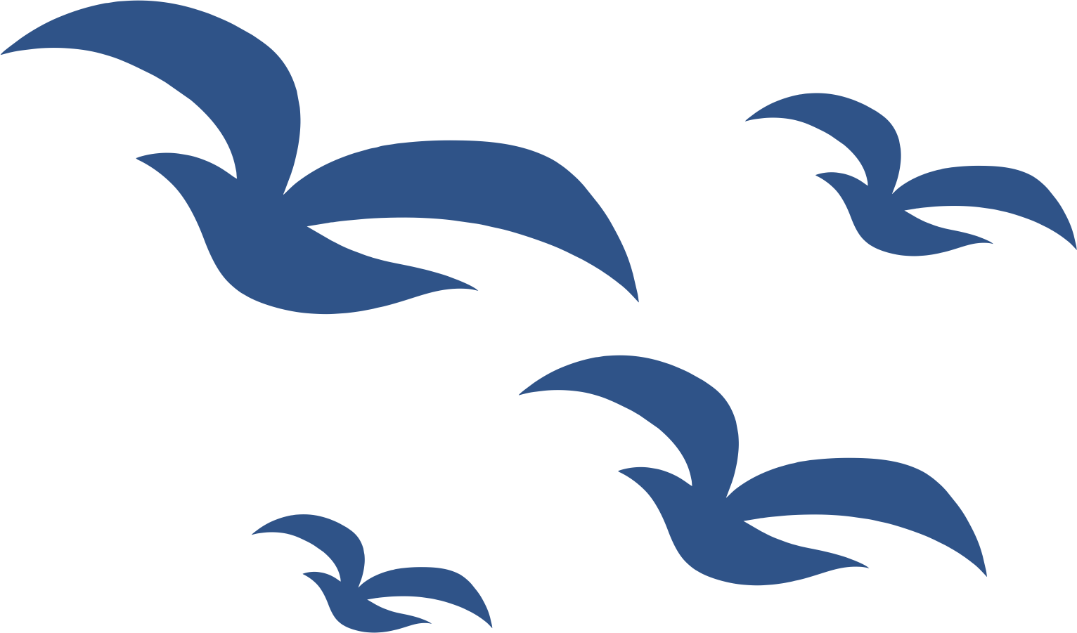 Marinheiro Cute - Pássaros - Passaros Png Desenho Clipart (1532x901), Png Download