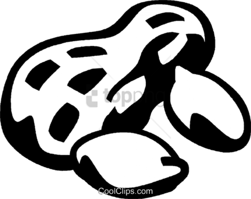 Free Png Amendoim Vetor Png Image With Transparent - No Nut Sign Png Clipart (850x675), Png Download