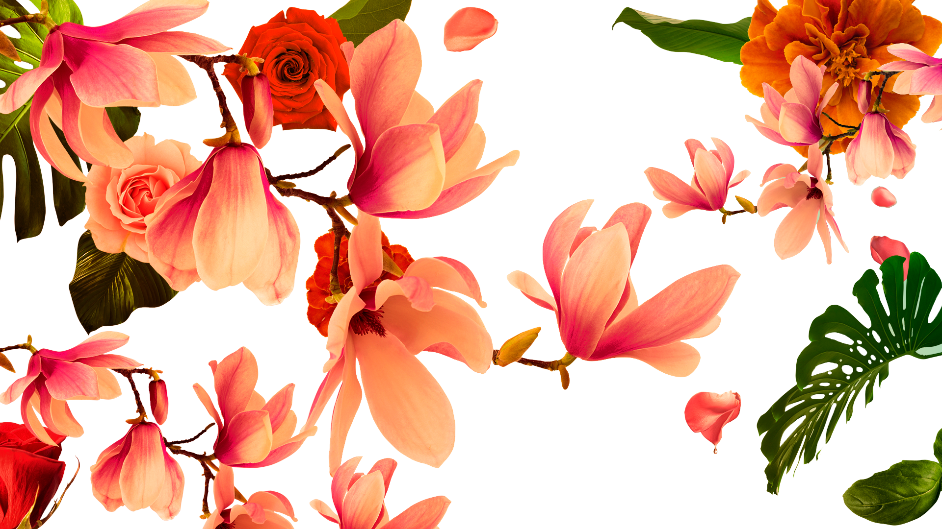 Fashion - Illustration Clipart (1920x1080), Png Download