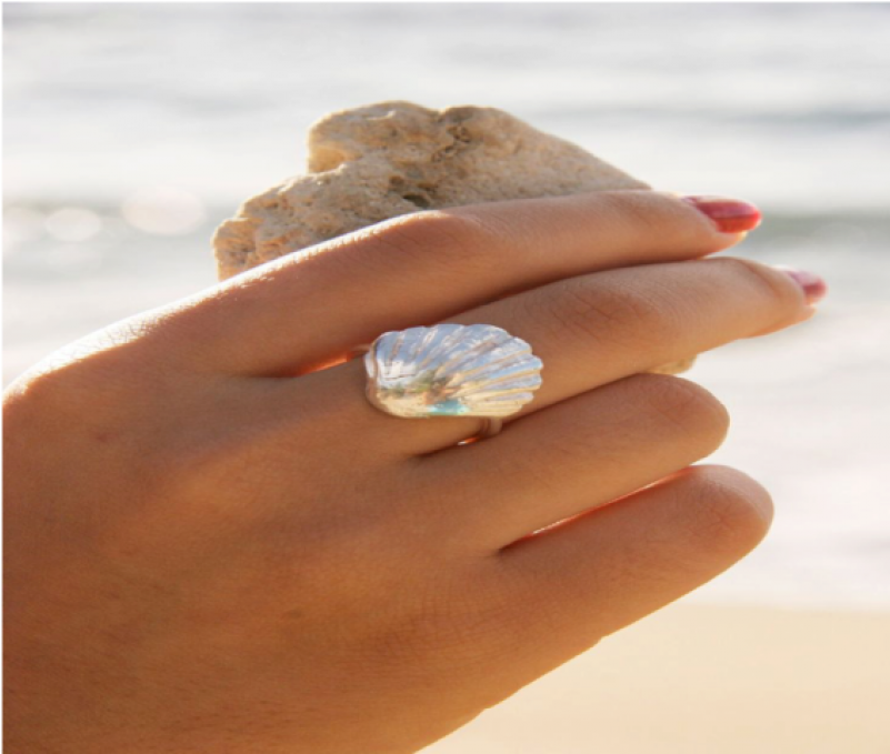 Anillo Concha - Shell Rings Clipart (800x800), Png Download