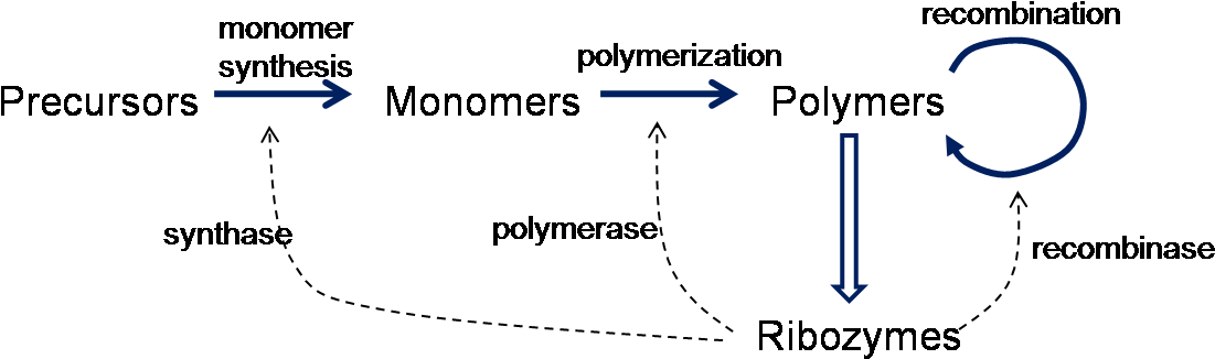 The Rna World Theory For The Origin Of Life Is That - Ribozyme Rna World Clipart (1160x351), Png Download