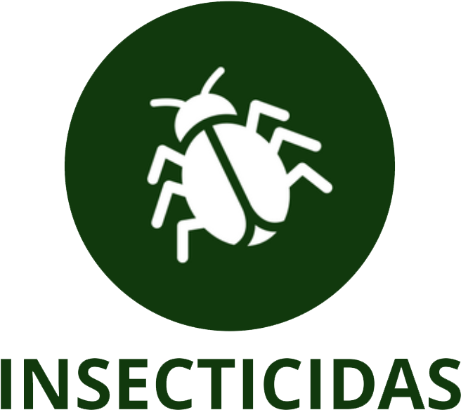 Nuestros Productos - Resgatando Vidas Clipart (1080x1080), Png Download