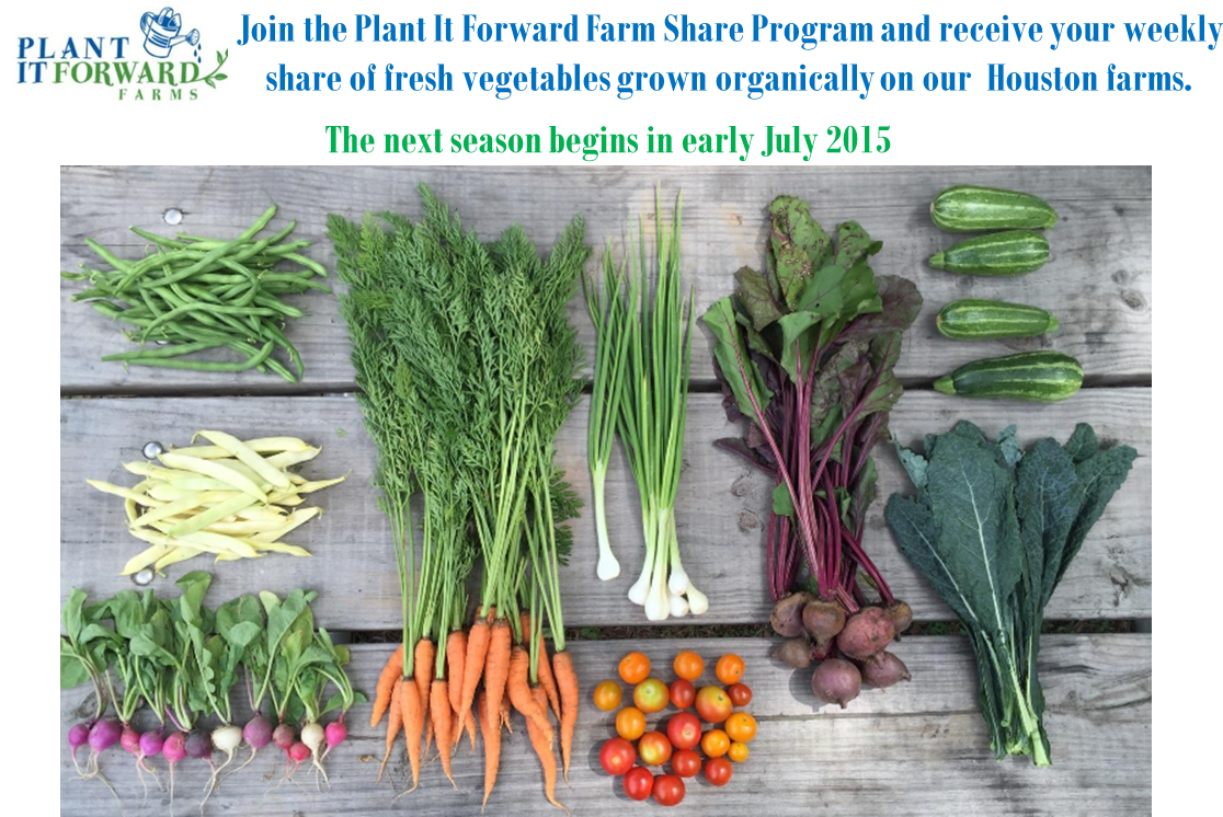 Farmsharejuly2015 - Chives Clipart (1144x756), Png Download