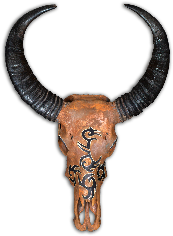 Some Native American Tribes Believe That The Bull Skull - Bull Clipart (757x1000), Png Download