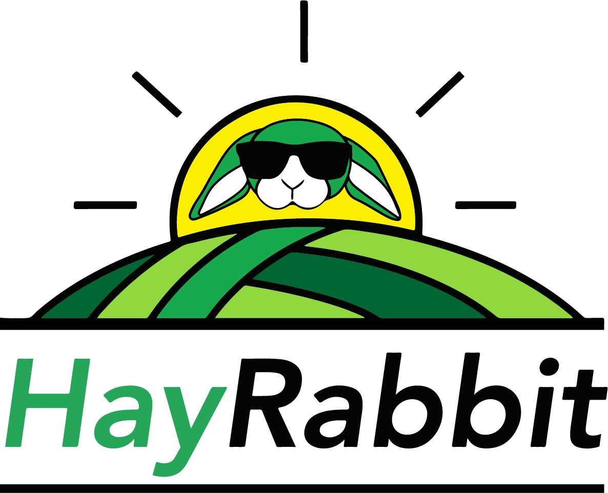 Clip Art - Png Download (1186x962), Png Download