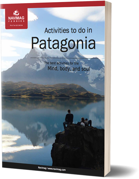 Activities To Do In Patagonia - Flyer Clipart (500x662), Png Download