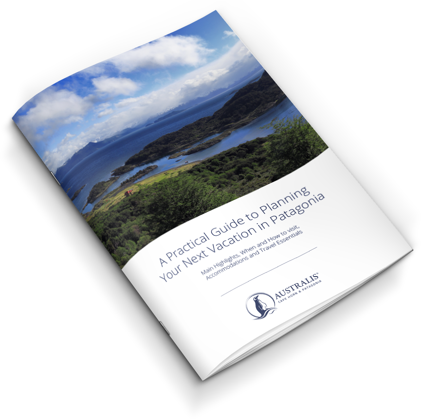 Patagonia Travel Guide - Summit Clipart (900x894), Png Download