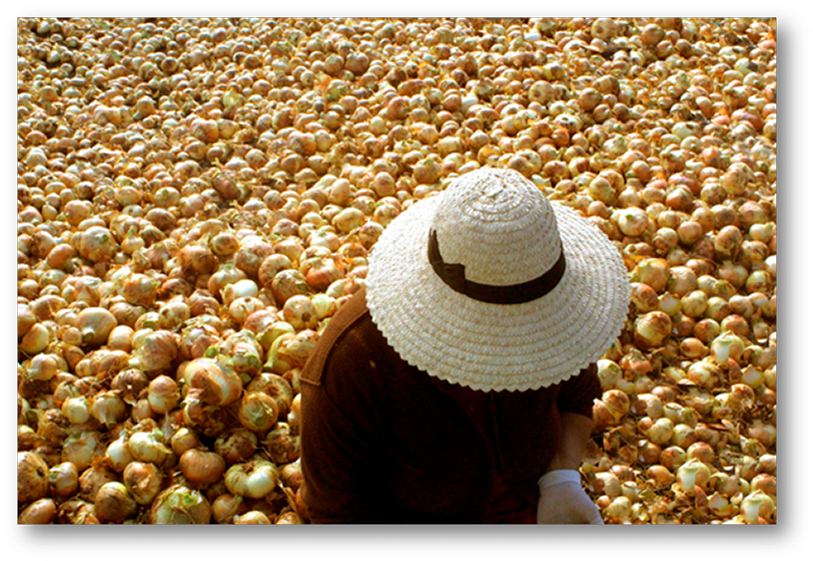 Un Domingo Con Mamá En El Monumento Al Campesino - Still Life Photography Clipart (822x570), Png Download