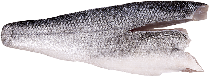 Sea Bass Fillet - Sardine Clipart (800x386), Png Download